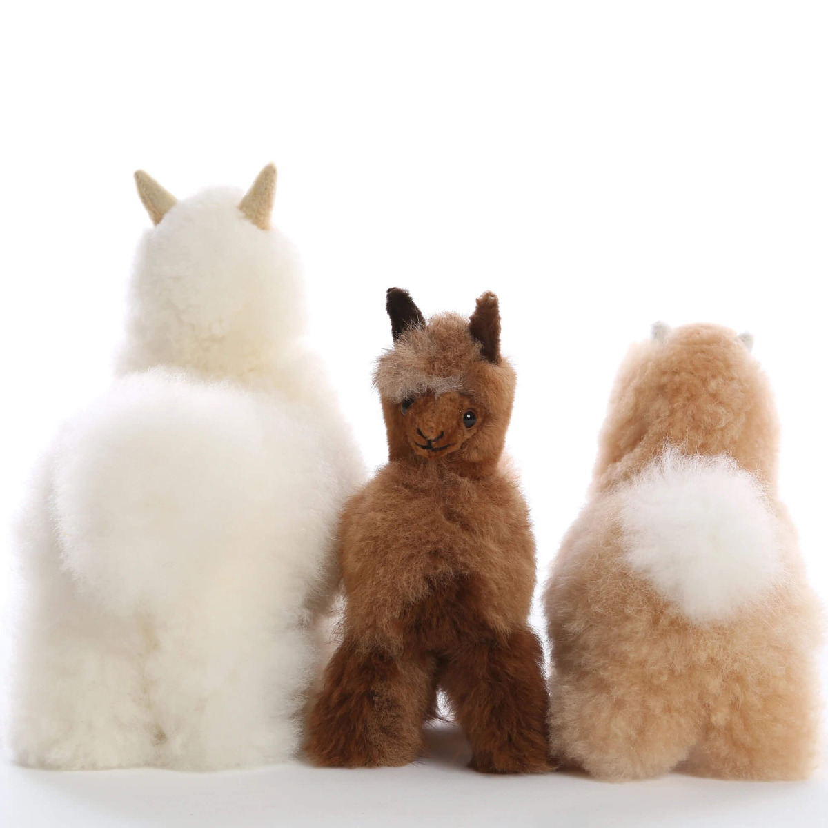 Alpaca Plush - Huacaya Alpaca - Auskin - Picture 34 of 40