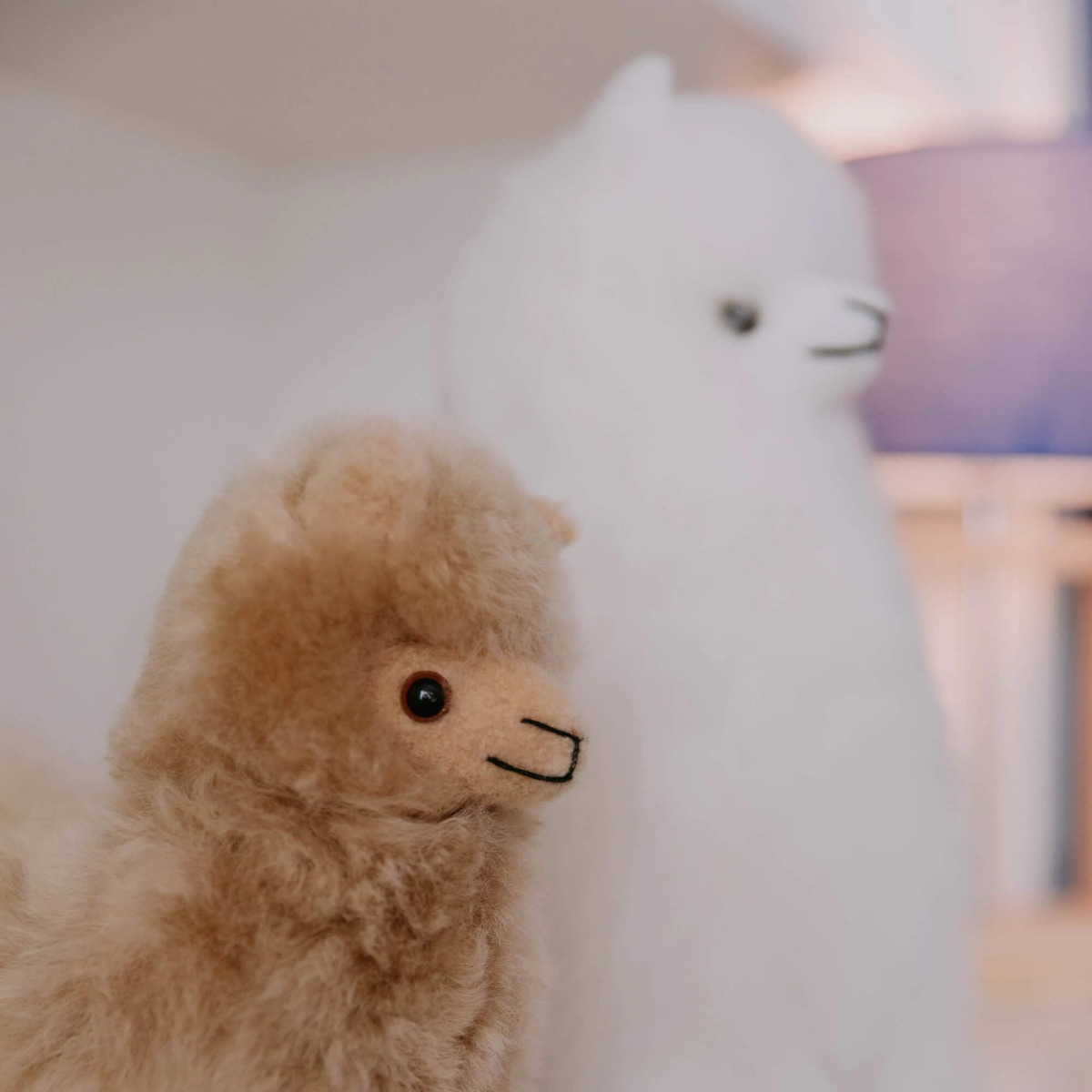 Alpaca Plush - Huacaya Alpaca - Auskin - Picture 30 of 40