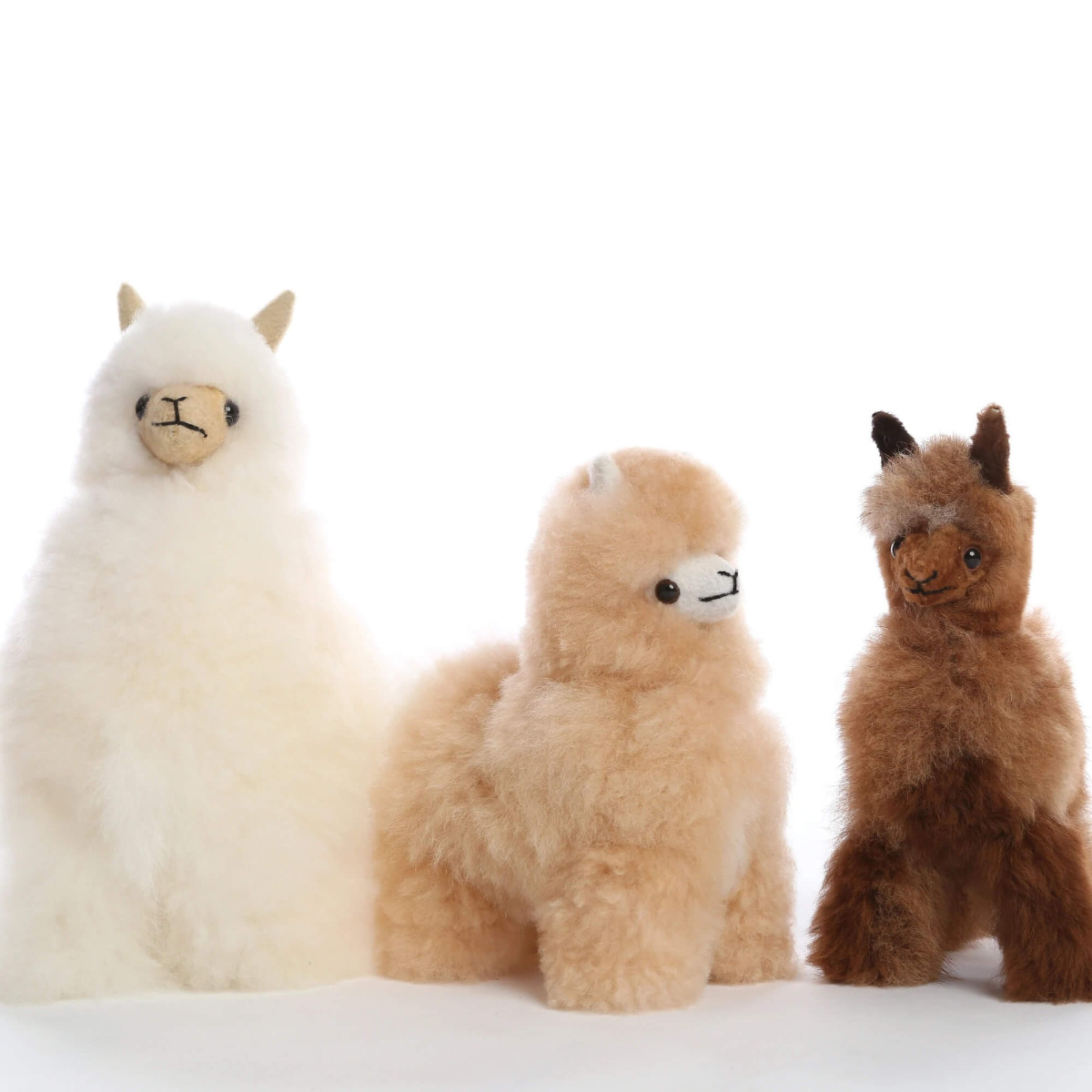 Alpaca Plush - Huacaya Alpaca - Auskin - Picture 25 of 40
