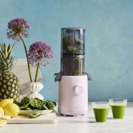 Hurom H310a Easy Clean Cold Press Juicer | Nature's Wonderland