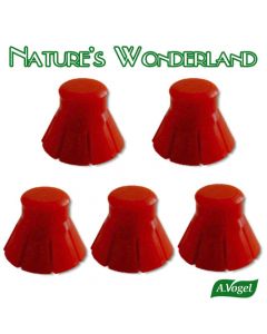 Drainage Syphon Filters/Caps for Original bioSnacky Classic Sprouters - pack of 5 - A. Vogel